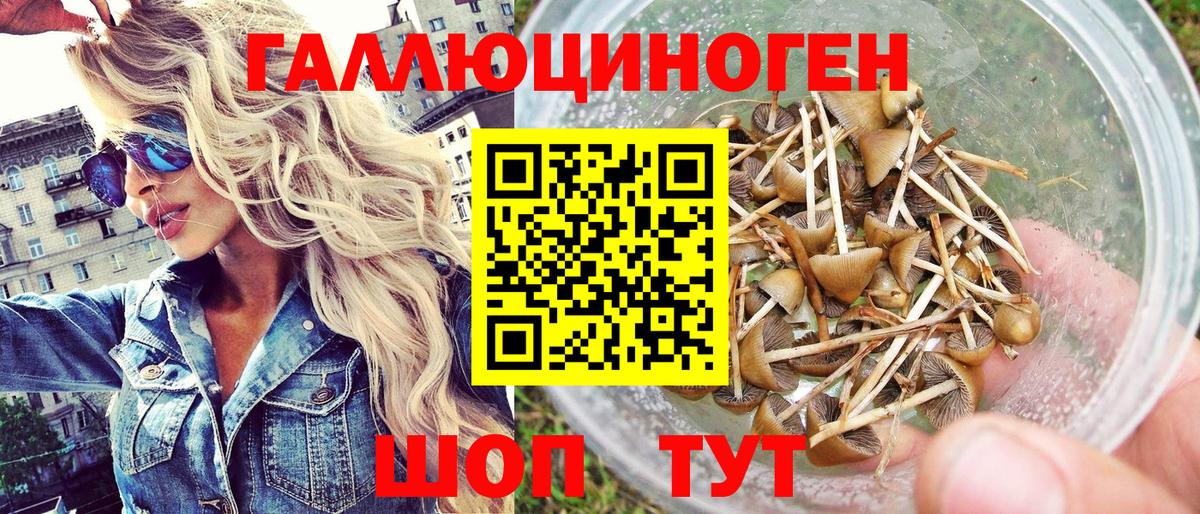 Псилоцибиновые грибы Cubensis  Вход с VPN  Дальнереченск  цена   Галлюциногенные грибы Psilocybine cubensis 